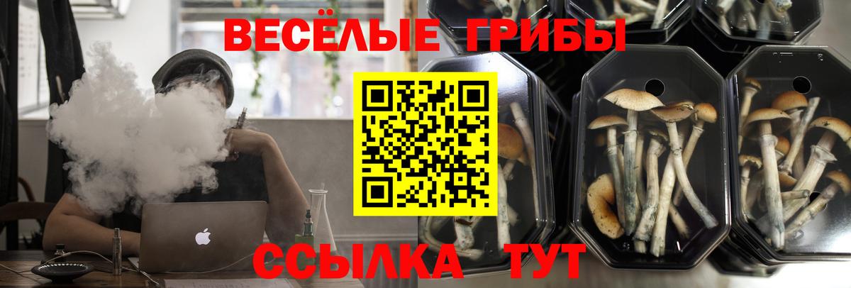 Псилоцибиновые грибы MAGIC MUSHROOMS Крымск